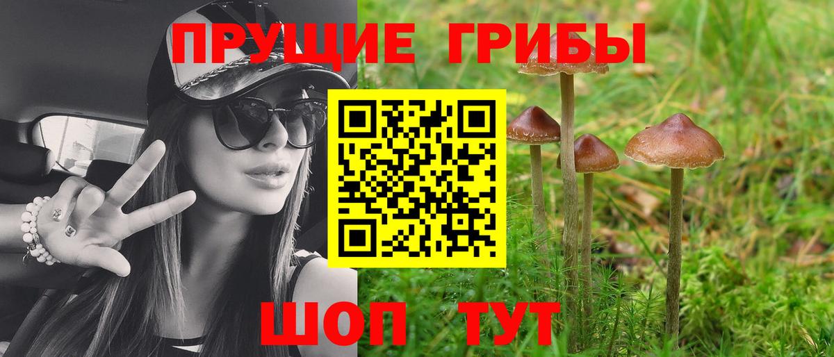 Псилоцибиновые грибы Magic Shrooms Учалы