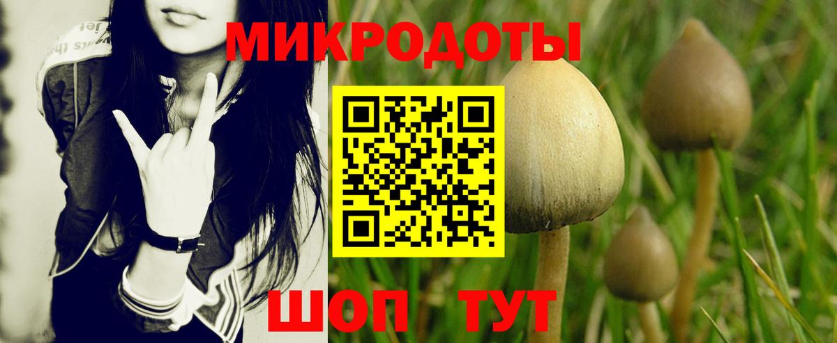 Псилоцибиновые грибы GOLDEN TEACHER  Вход с VPN  Учалы 